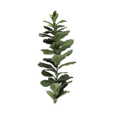 Large Fiddle Leaf Fig Stalk - TL838
