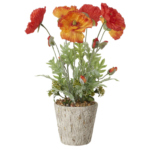 Red and Orange Poppies in Large Genevieve Planter - 197019