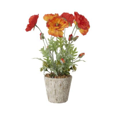 Red & Orange Poppies in Large Genevieve Planter - 197019