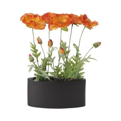 Orange Poppies in Smith Planter - 197021