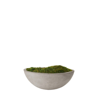 Preserved Mood Moss in Newport Bowl - 197024