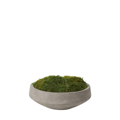 Preserved Mood Moss in Newport Bowl - 197025
