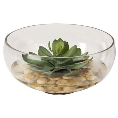 Extra Large Frosted Green Echeveria in Terrarium Bowl - 197026