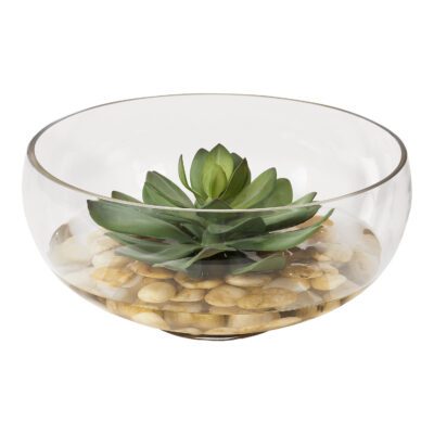 Extra Large Frosted Green Echeveria in Terrarium Bowl - 197026