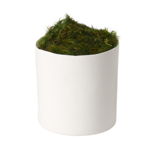 Preserved Mood Moss in Tori Vase - 197028