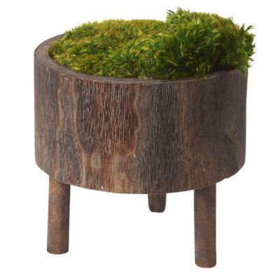 Preserved Mood Moss in round Wooden Planter with Legs - 197030