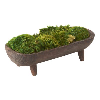 Preserved Mood Moss in Oblong Wooden Bowl with Legs - 197031