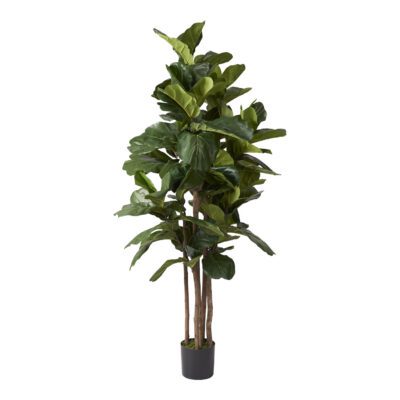 Fiddle Leaf Fig Tree 6' - TL840