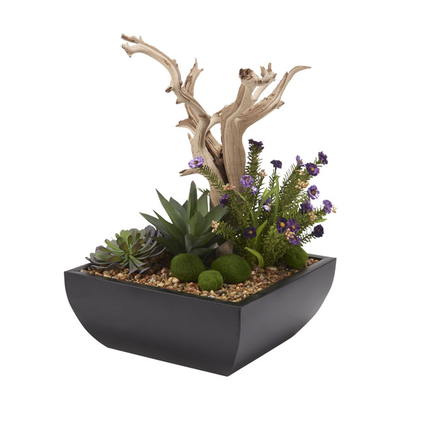 Ghostwood Branch, Succulents, and Wild Flowers in Navis Planter - 199002