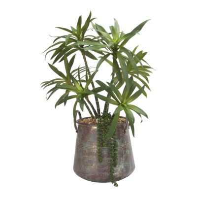 Yucca Plant in Lantana Planter - 199015