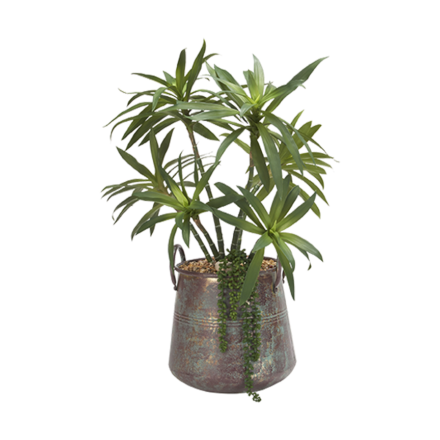 Yucca Plant in Lantana Planter - 199015 - Image 2