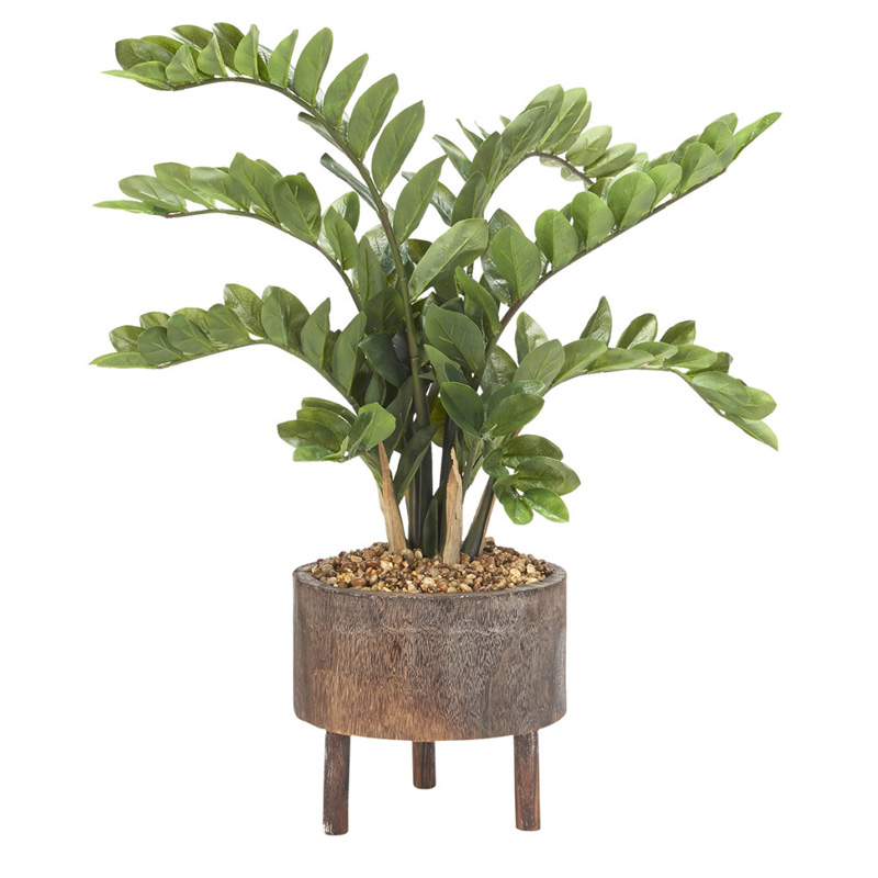 Zamiifolia Plant in Round Wooden Planter - 199016