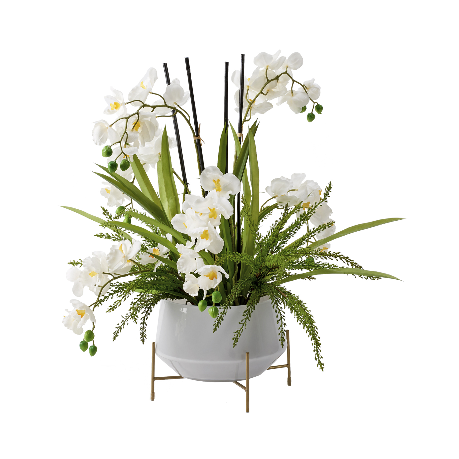 White Vanda Orchids in Parson Planter - 199018