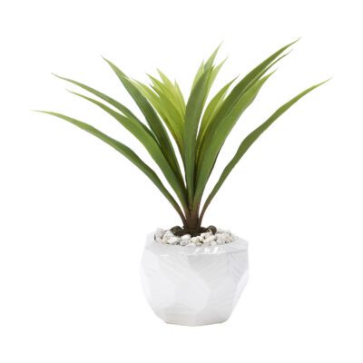 Green Lily Grass in Medium White Flintstone Planter - 199023