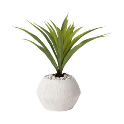 Green Lily Grass in Large Cove Vase - 199024