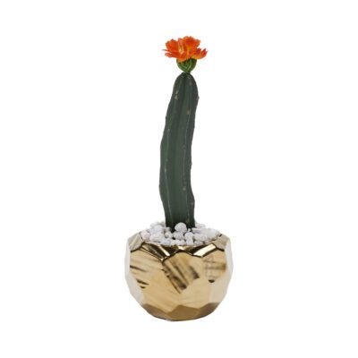 Cactus with Orange Bloom in Small Gold Flintstone Planter - 199028