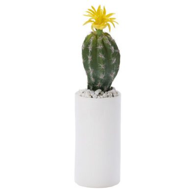 Mini Oval Cactus with Yellow Bloom in Tall White Cylinder - 199030