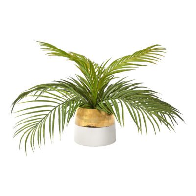 Hawaiian Palm in Braes Vase - 199033