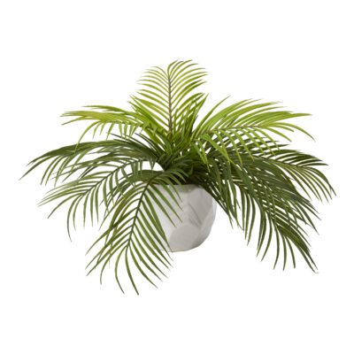 Hawaiian Palm in Large White Flintstone Planter - 199034
