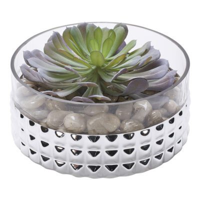 Frosted Green Pinwheel Succulent in Small Short Stud Vase - 199036