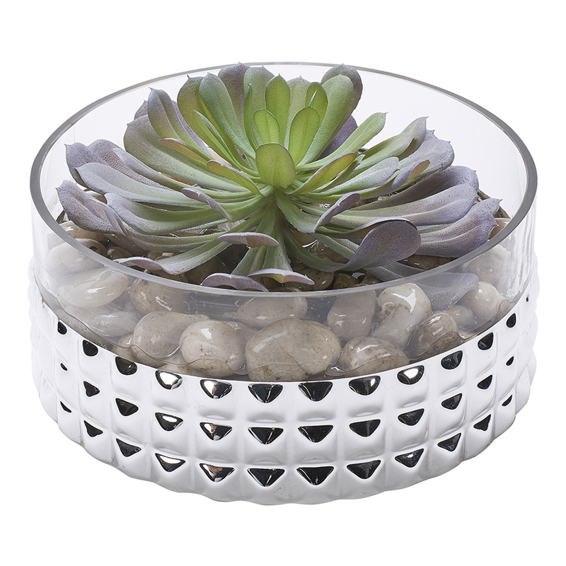 Frosted Green Pinwheel Succulent in Small Short Stud Vase - 199036