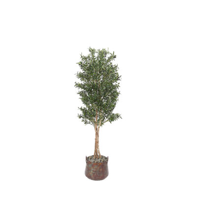 Olive Tree in Lantana Planter 7' - 319901