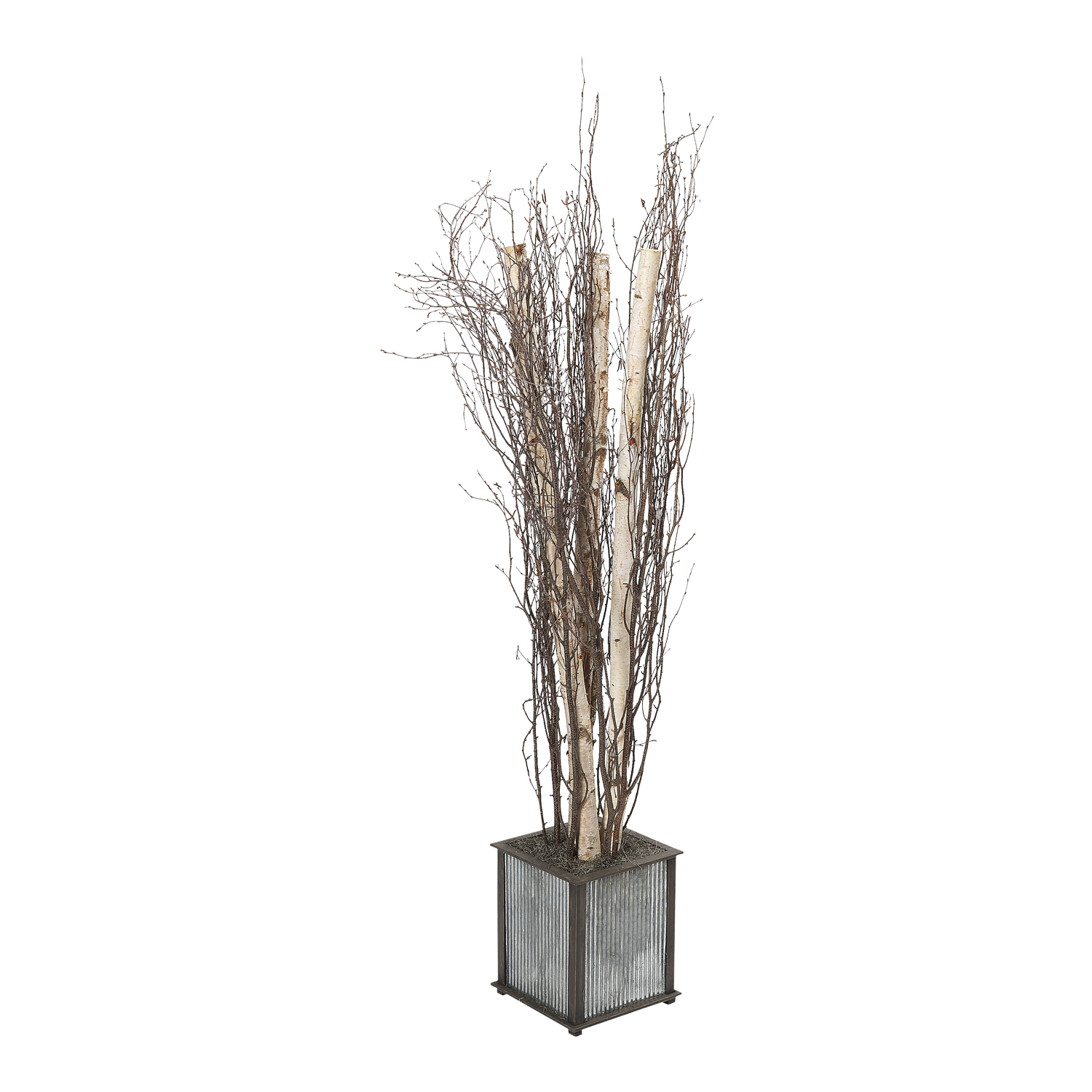 Birch Trunks & Branches in Tin and Timber Planter 6.5' - 319902