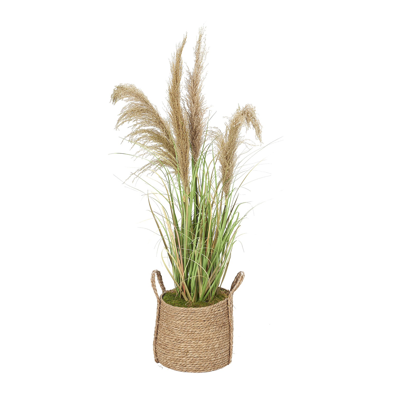 Reed Grass in Wyatt Basket - 319906