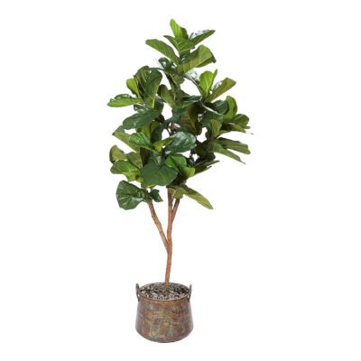 Fiddle Leaf Fig in Lantana Planter 7' - 319909