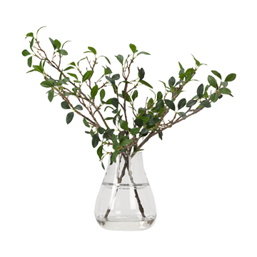 Green Leafy Branches in Glass Vase - 191007