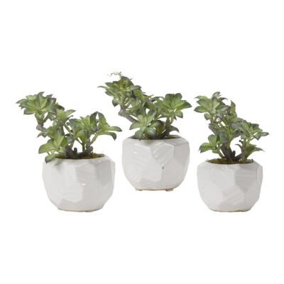 Green/White Star Succulent in Small White Flintstone Planter - Set of 3 - 191009