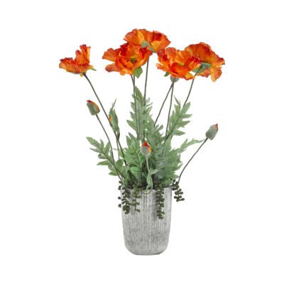 Orange Poppies in Concrete Planter - 194001