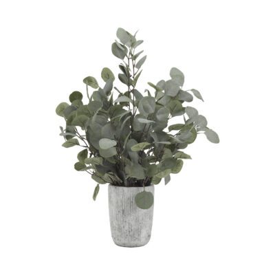 Grey/Green Eucalyptus in Concrete Planter - 194008