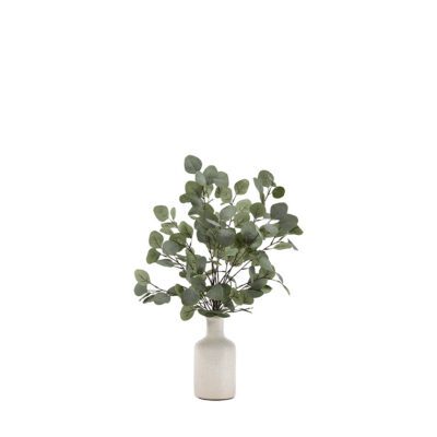 Grey/Green Eucalyptus in Lait Vase - 194009