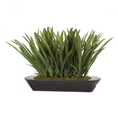Orchid Foliage in Large Dough Bowl - 194016