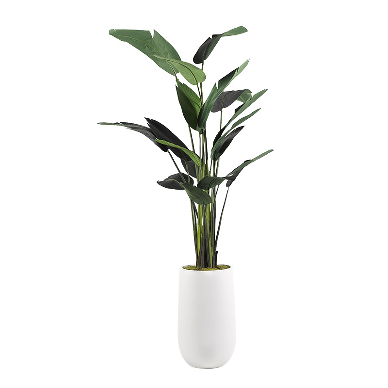 9' Traveler Palm Tree in Large Quinn Planter - 319401