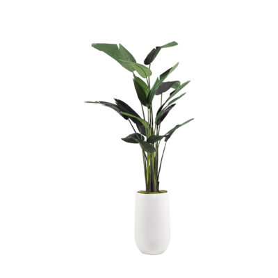 Traveler Palm Tree in Quinn Planter 9' - 319401