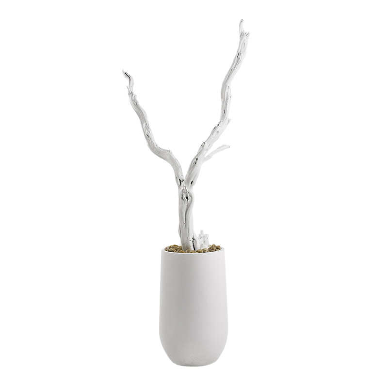 7.5' Sandblasted Ghostwood in Large Quinn Planter - 319402