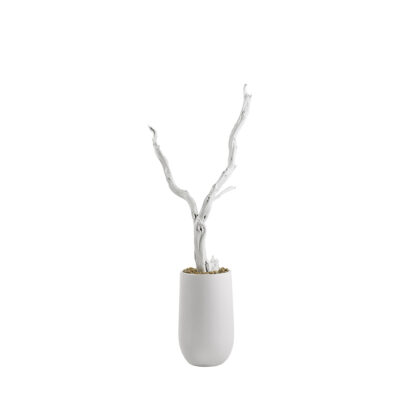 Sandblasted Ghostwood in Quinn Planter 7.5' - 319402