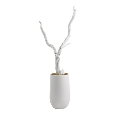 Sandblasted Ghostwood in Quinn Planter 7.5' - 319402