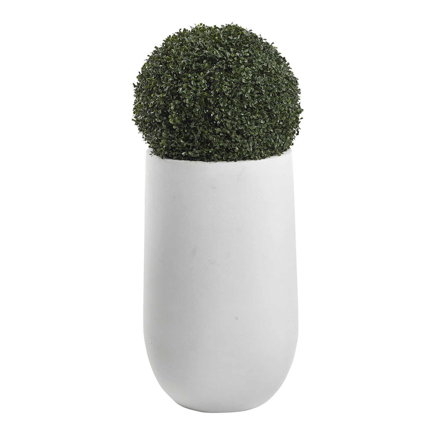 Boxwood Ball in Quinn Planter - 319403