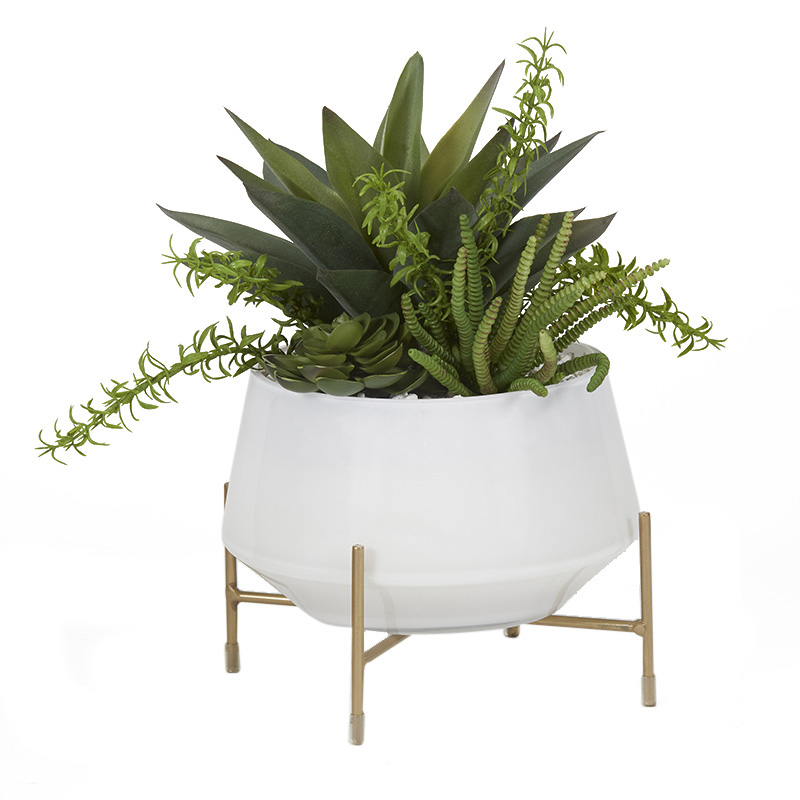 Aloe and  in White Glass Bowl with Stand - 201012