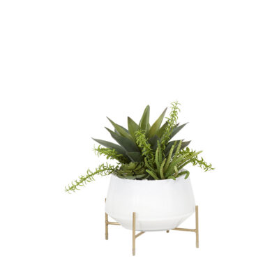Aloe & Succulents in White Glass Bowl w/Stand - 201012