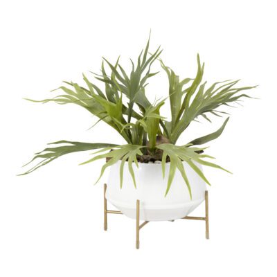 Staghorn Fern in White Glass Bowl with Stand - 201013