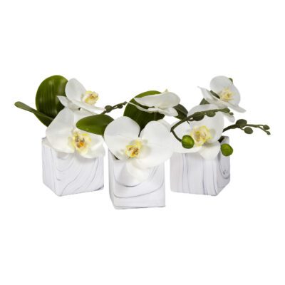 White Phal Orchids in Marbled Ceramic Cube - Set of 3 - 201017