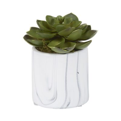 Small Green Echeveria in White Marbled Ceramic Cylinder - 201022