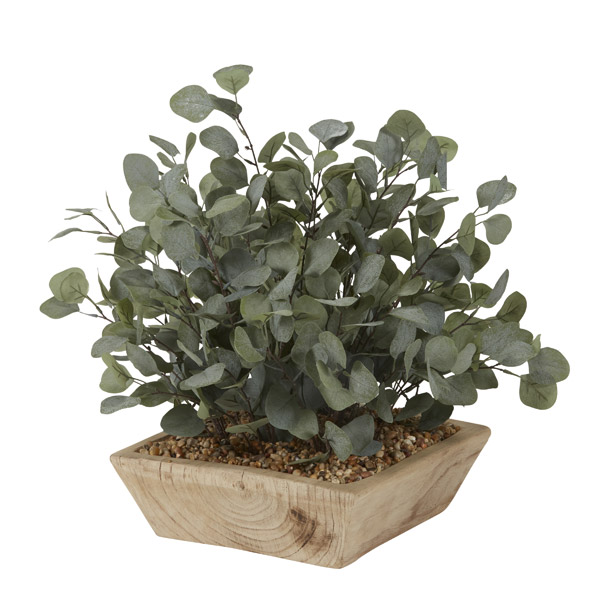 Eucalyptus in Ambrose Square Bowl - 201023