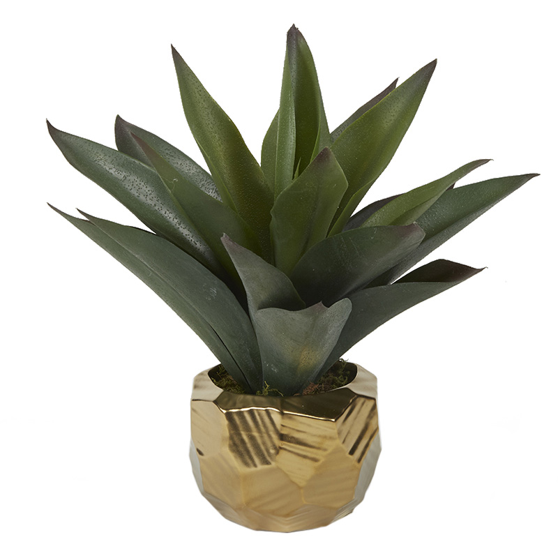 Aloe Plant in Small Gold Flintstone Planter - 201028