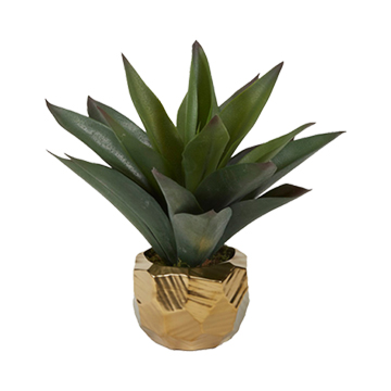 Aloe Plant in Gold Flintstone Planter - 201028