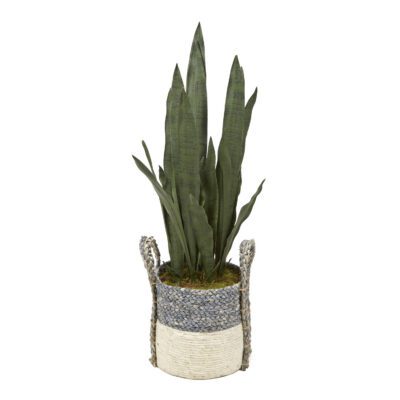 Sansevieria in Blue/Tan Basket with Handles - 320103